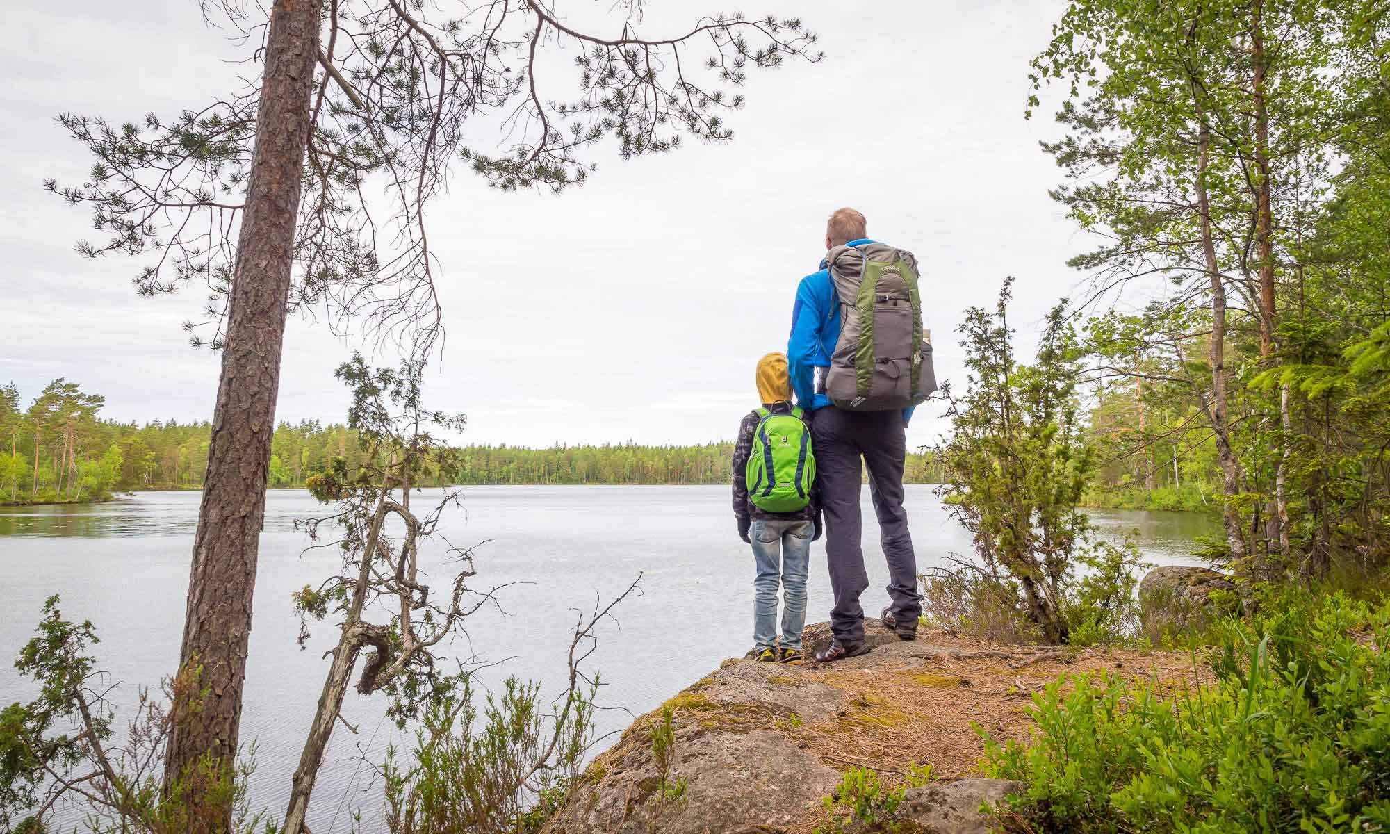 Nuuksio National Park in summer. Hiking on a cooler day. Nature near Helsinki, Finland.